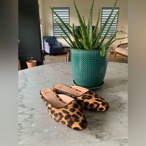 Carolyn Mule Flats in Calf Hair